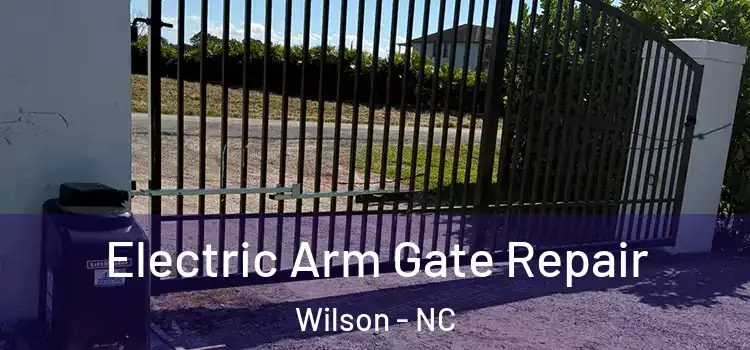 Electric Arm Gate Repair Wilson - NC