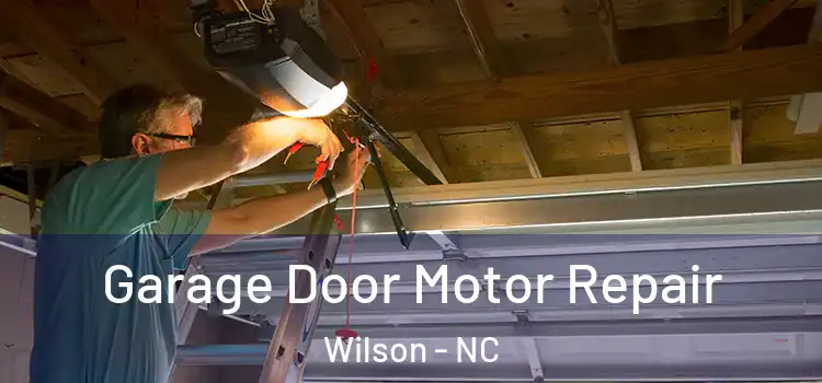  Garage Door Motor Repair Wilson - NC