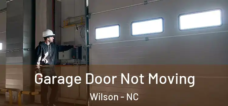  Garage Door Not Moving Wilson - NC