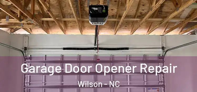  Garage Door Opener Repair Wilson - NC