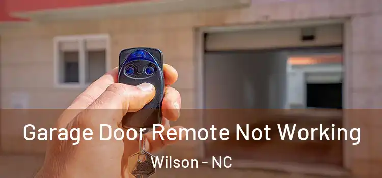  Garage Door Remote Not Working Wilson - NC
