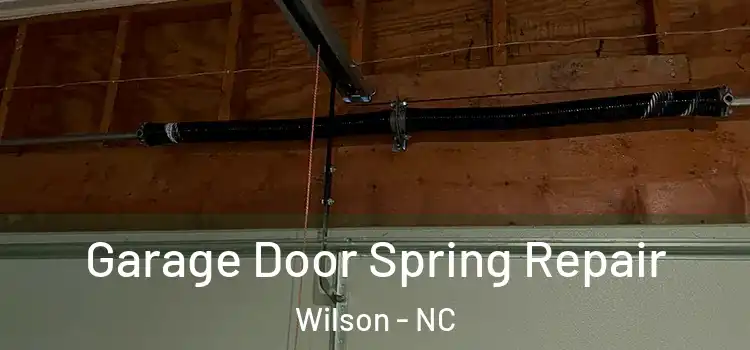  Garage Door Spring Repair Wilson - NC