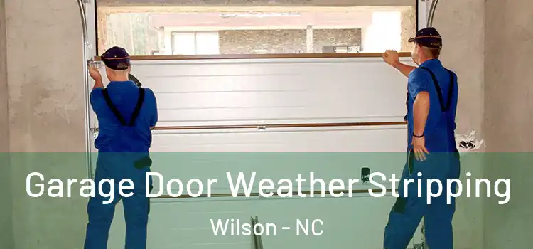  Garage Door Weather Stripping Wilson - NC