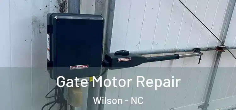  Gate Motor Repair Wilson - NC