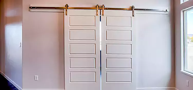 Glass Barn Door with Installation Hardware Kit Wilson