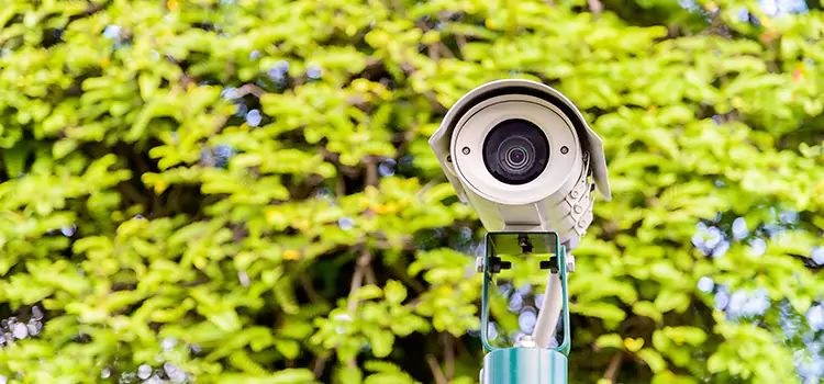 Advanced Surveillance Solutions for Every Need in Wilson