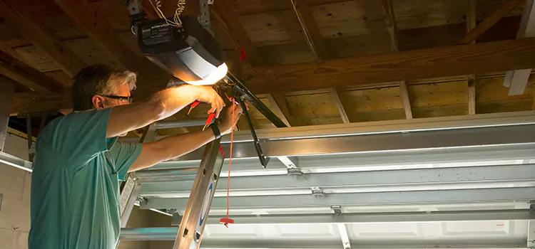 Garage Door Opener Sales and Installation Wilson