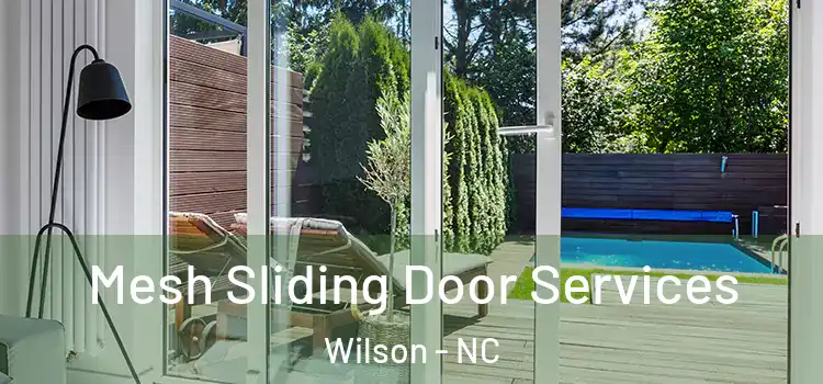 Mesh Sliding Door Services Wilson - NC