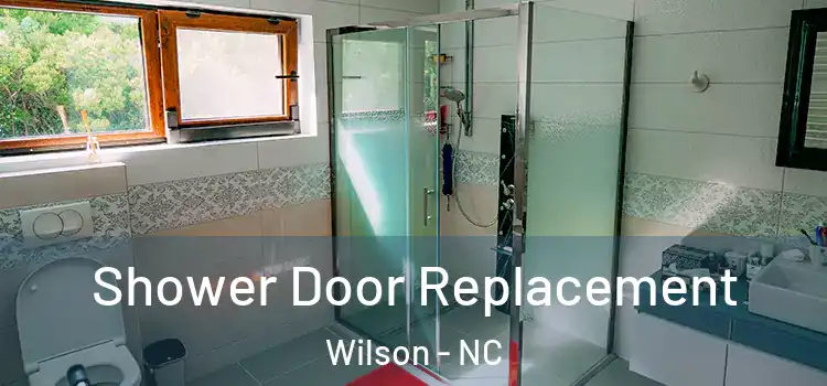 Shower Door Replacement Wilson - NC